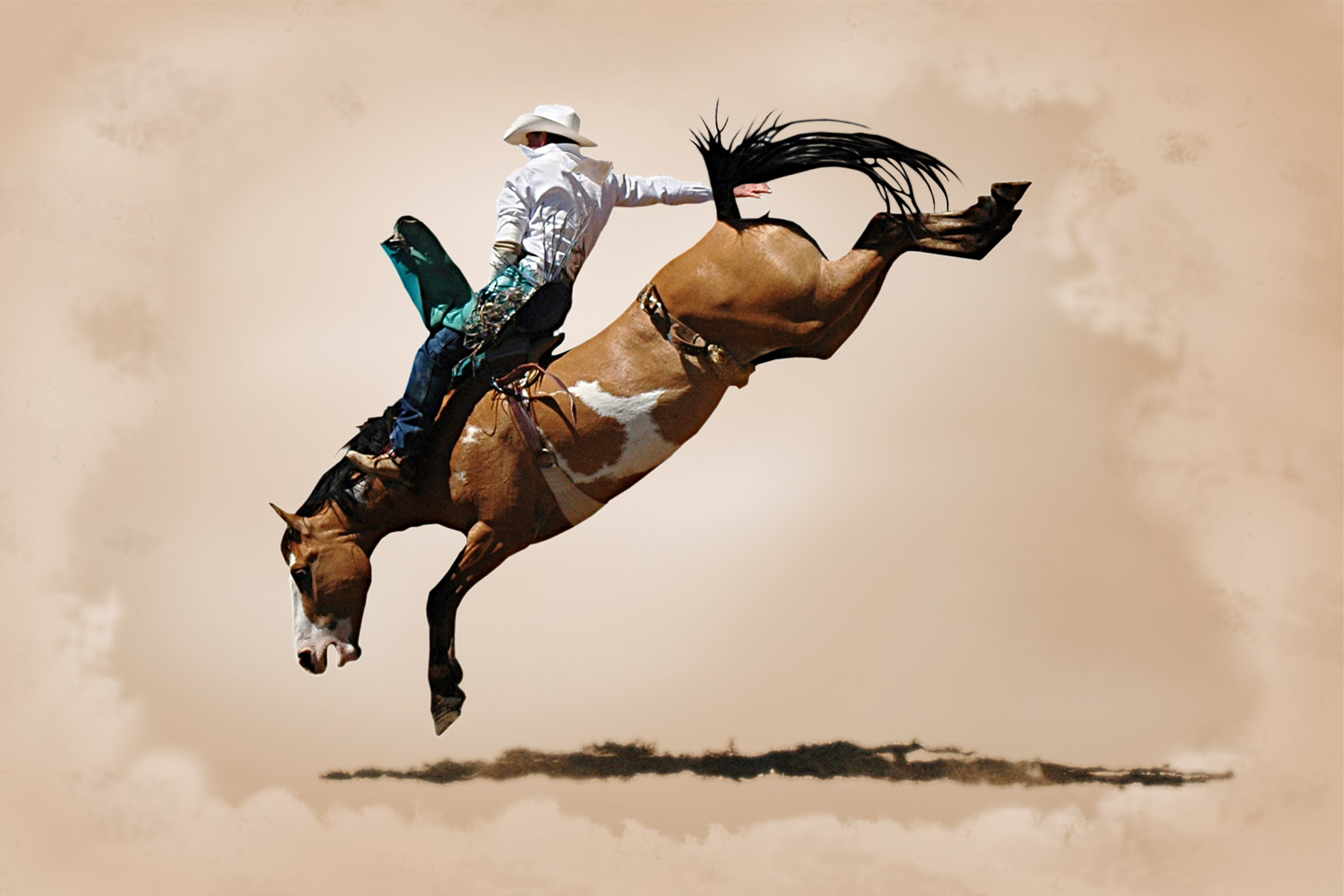 Bareback Bronc Rider