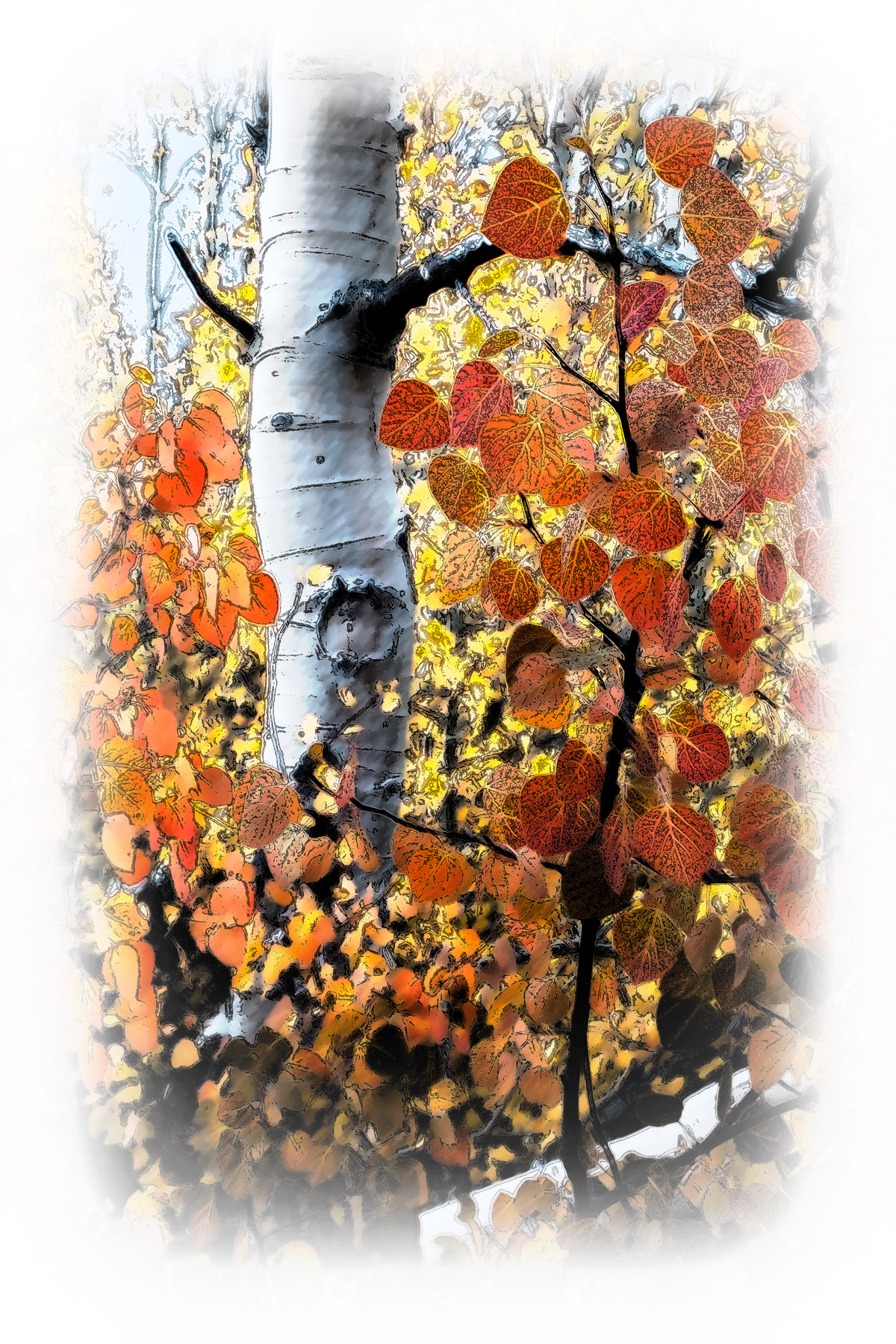 Red Aspens