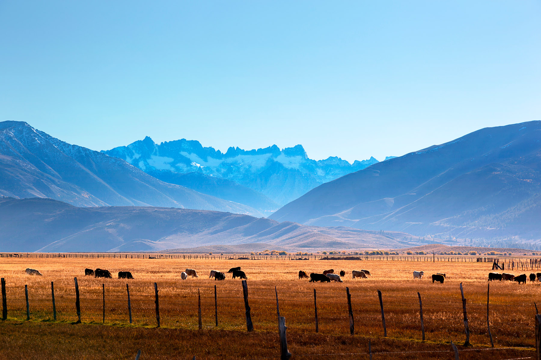 Highway 395 Revisited