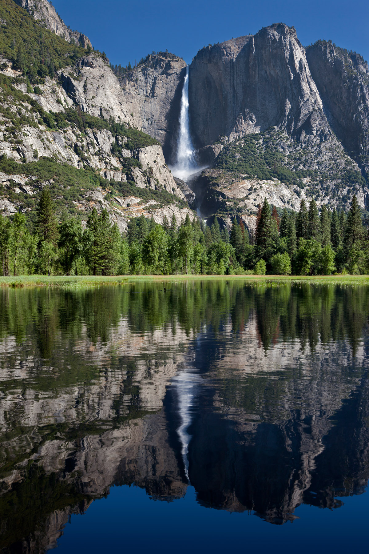 Yosimete Falls Reflected